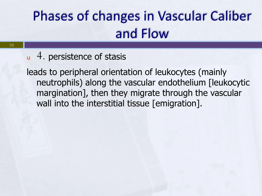 phases of changes in vascular caliber and flow 3