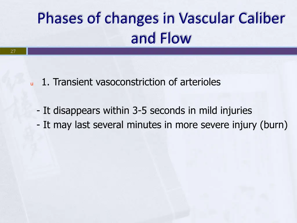 phases of changes in vascular caliber and flow