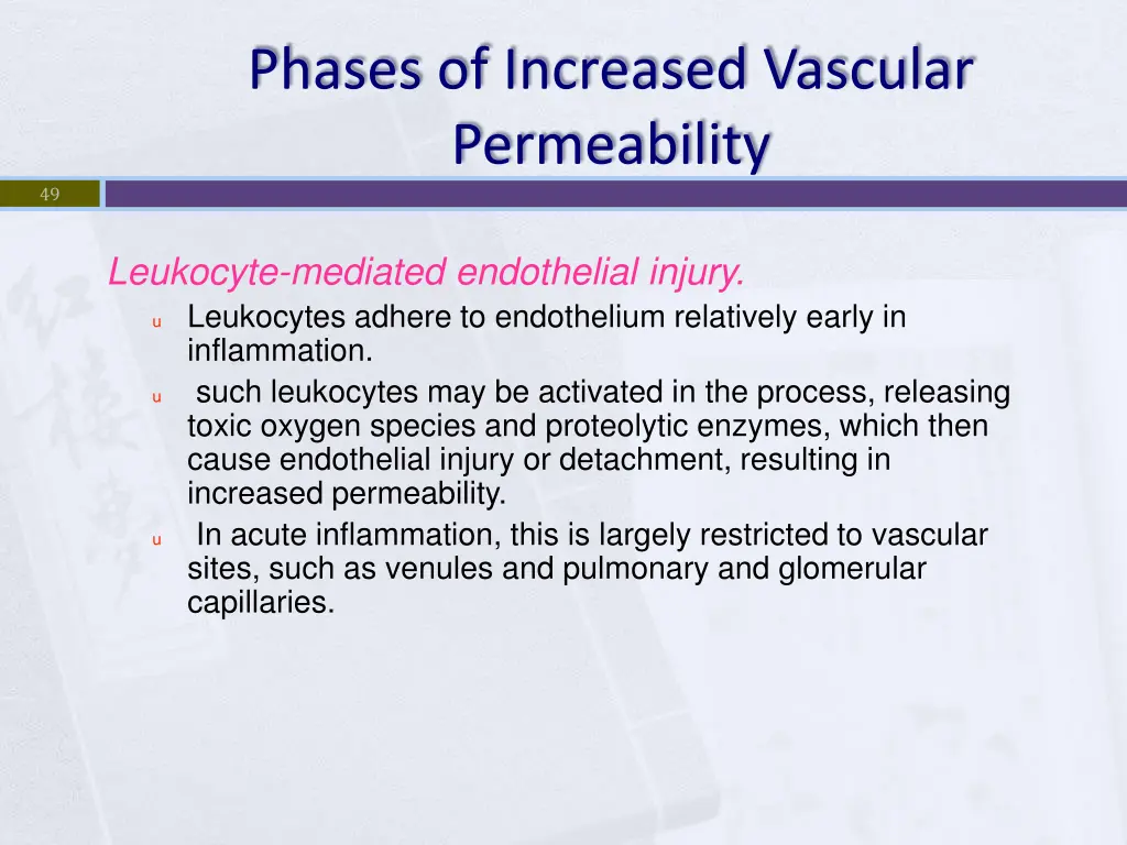 phases of increased vascular permeability 4