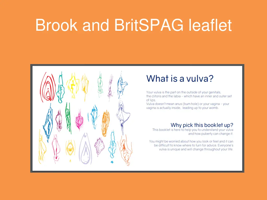 brook and britspag leaflet