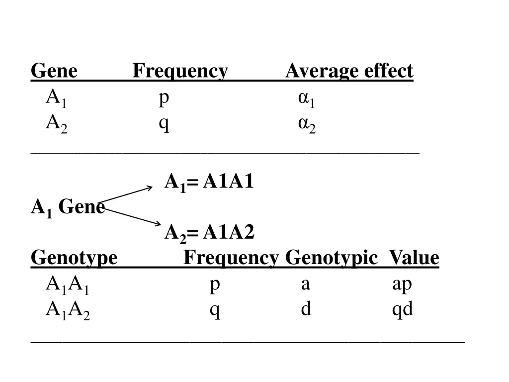 gene a 1 a 2 a 1 a1a1 a 1 gene a 2 a1a2 genotype