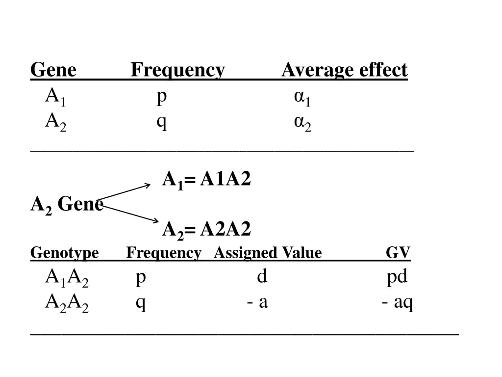 gene a 1 a 2 a 1 a1a2 a 2 gene a 2 a2a2 genotype