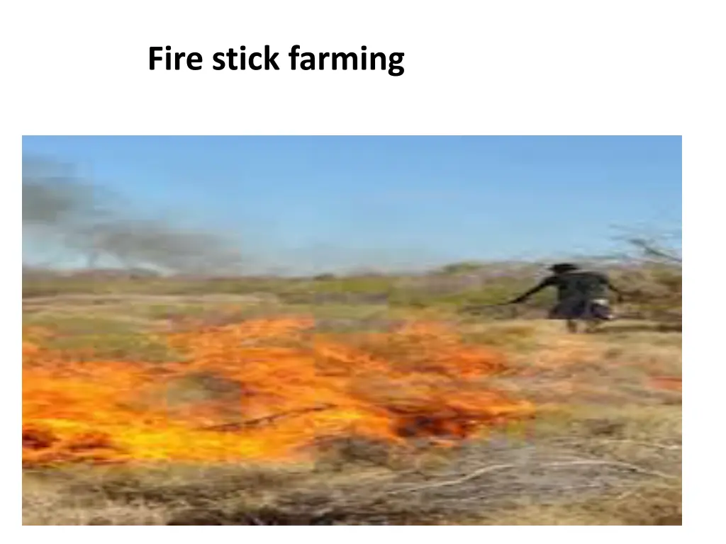 fire stick farming