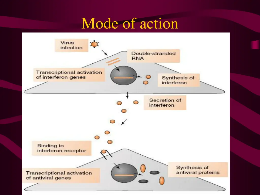 mode of action