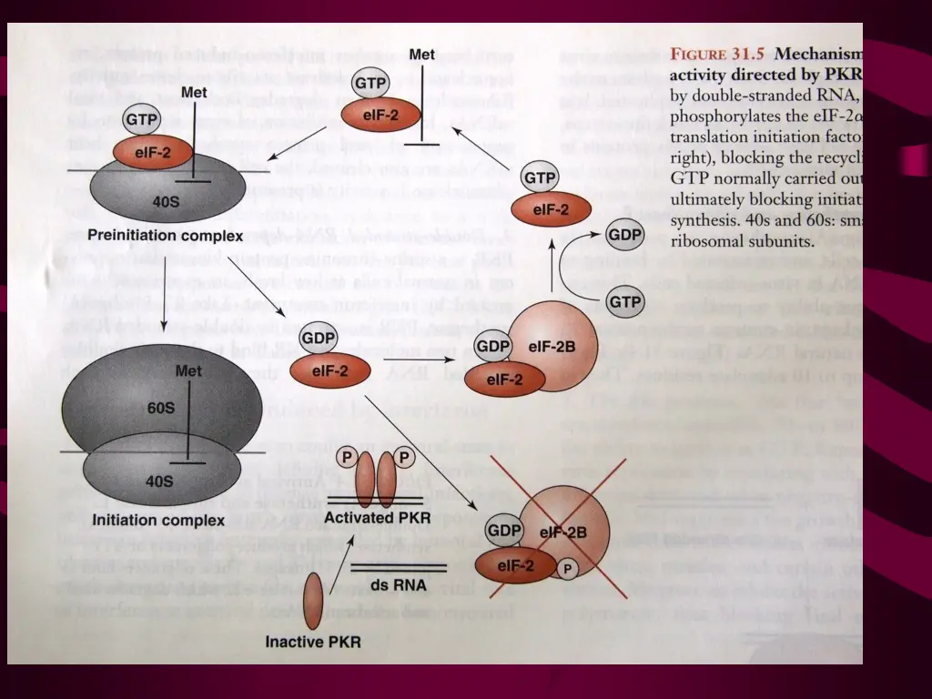 slide13