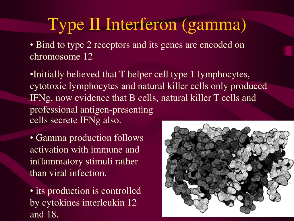 type ii interferon gamma