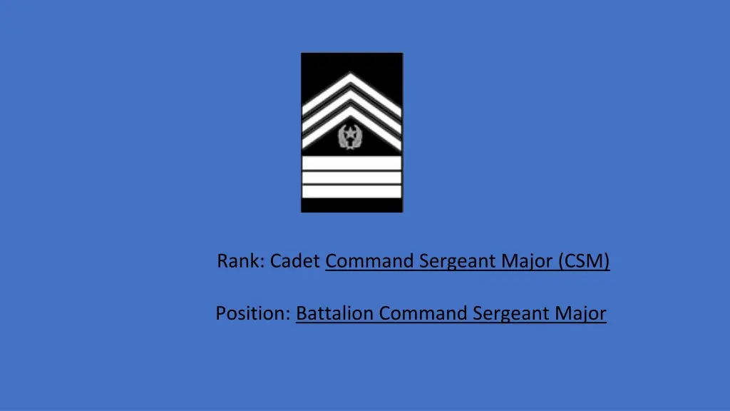 rank cadet command sergeant major csm