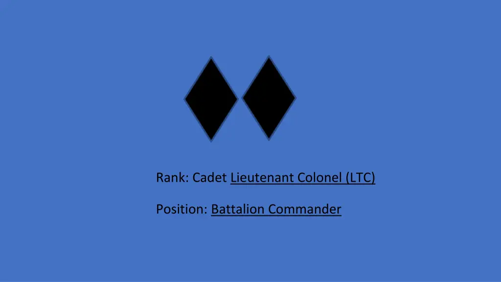 rank cadet lieutenant colonel ltc