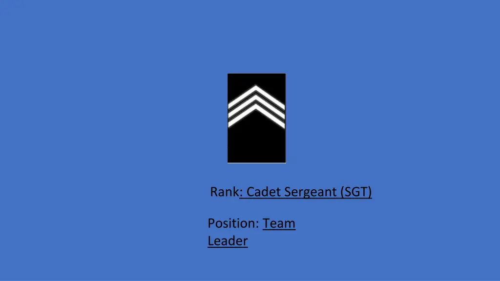 rank cadet sergeant sgt