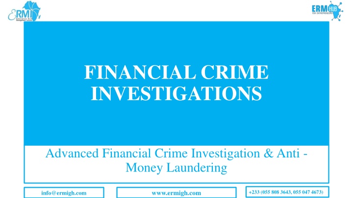 financial crime investigations