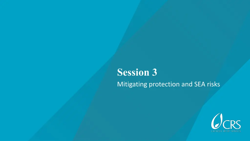 session 3 mitigating protection and sea risks