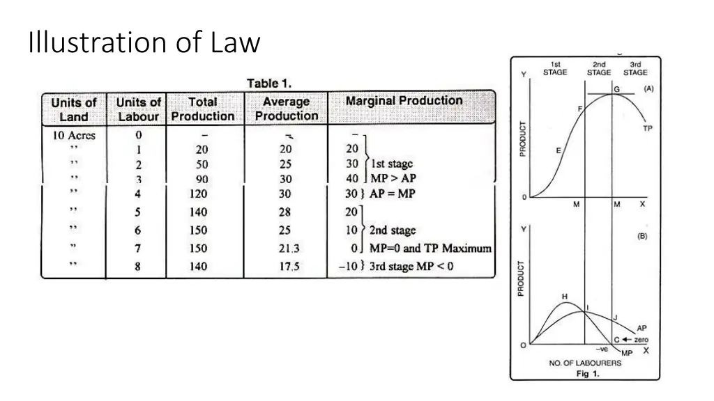 illustration of law