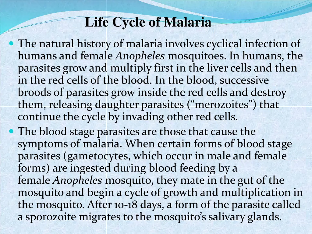 life cycle of malaria