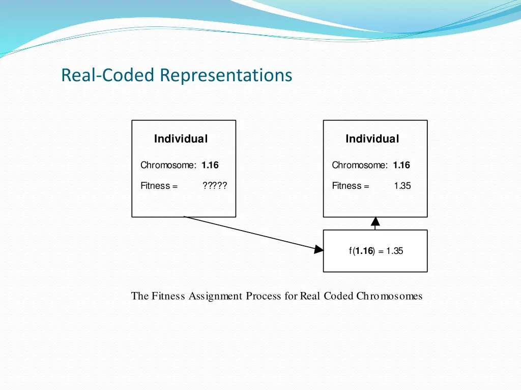 real coded representations