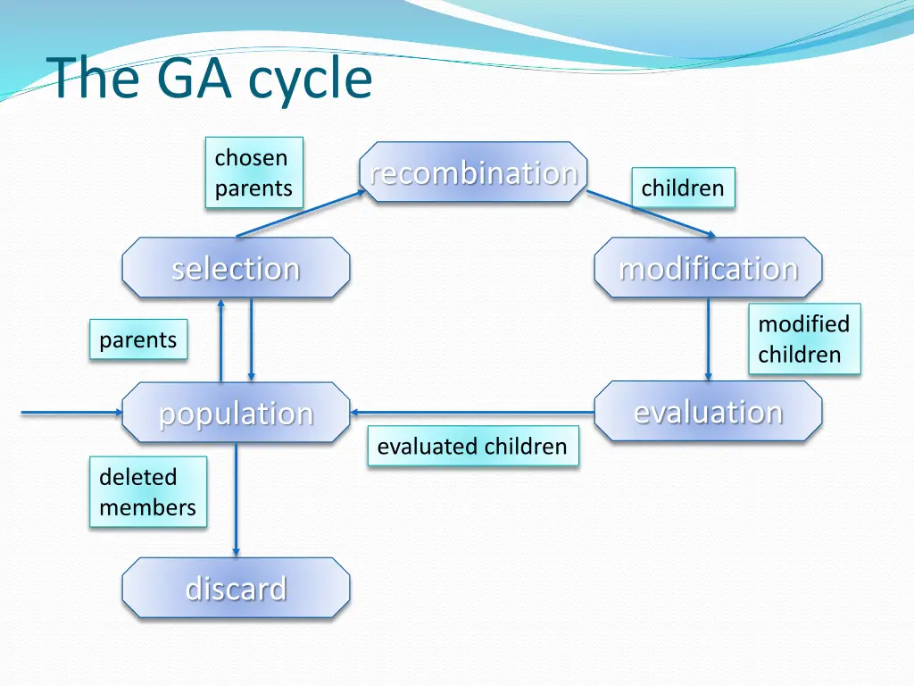 the ga cycle