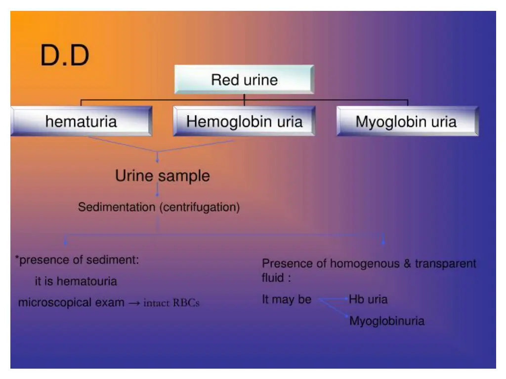 slide11