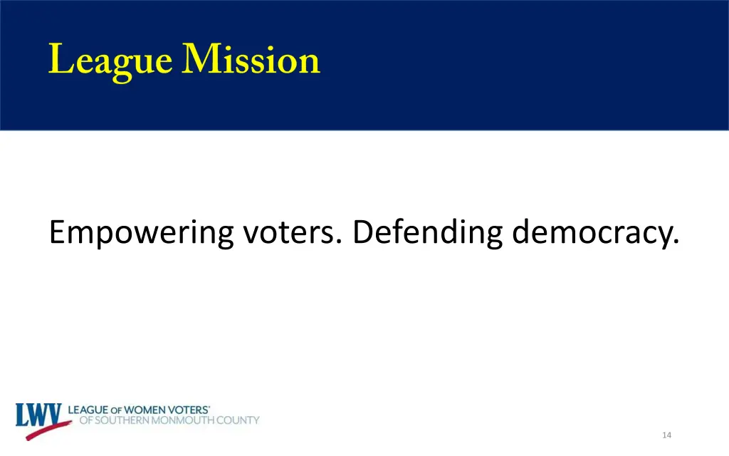 empowering voters defending democracy