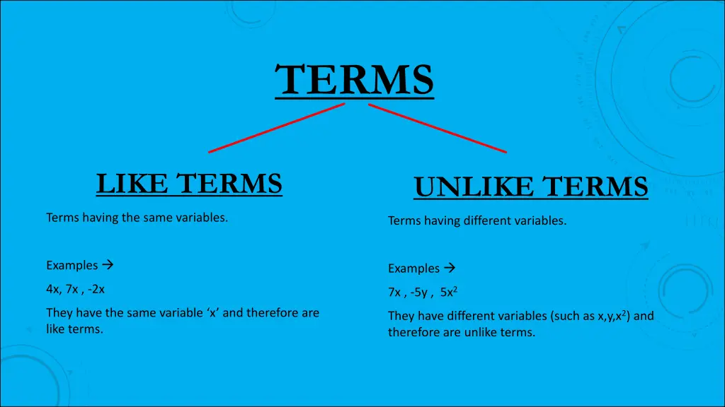 terms