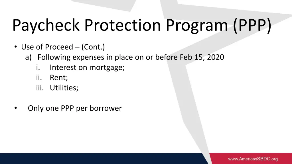 paycheck protection program ppp 1