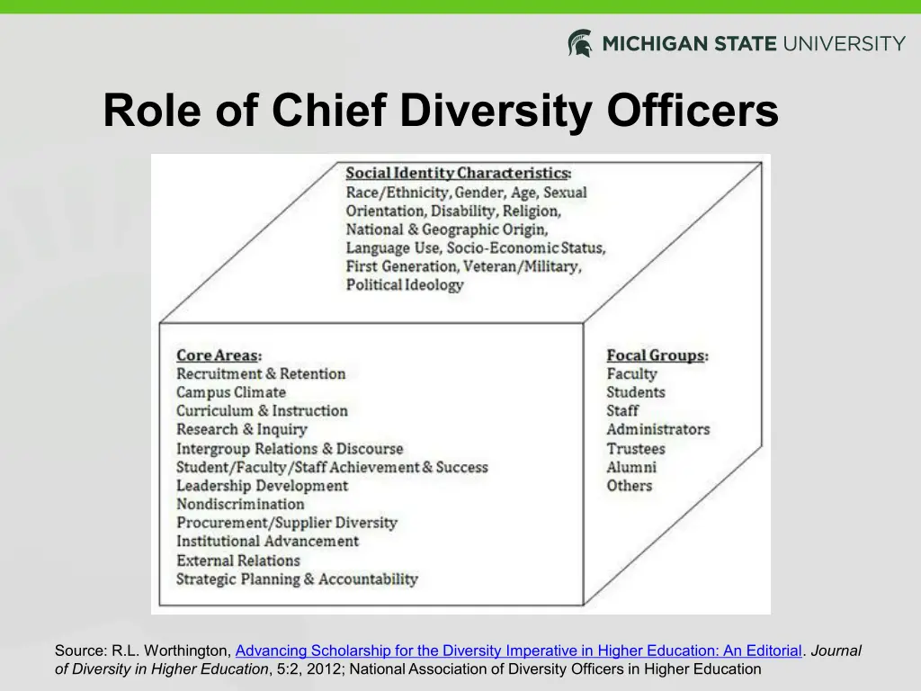 role of chief diversity officers