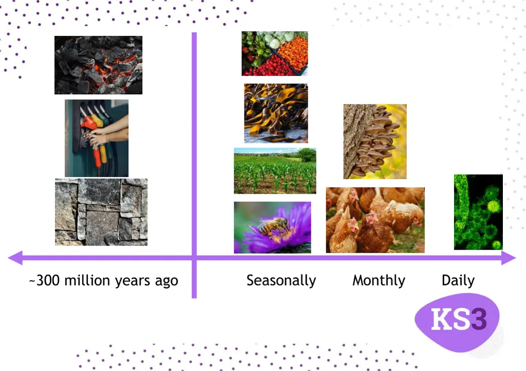 seasonally monthly daily