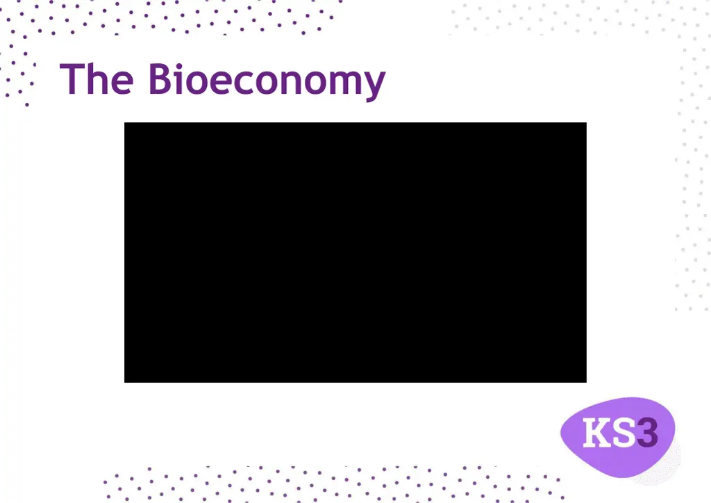 the bioeconomy