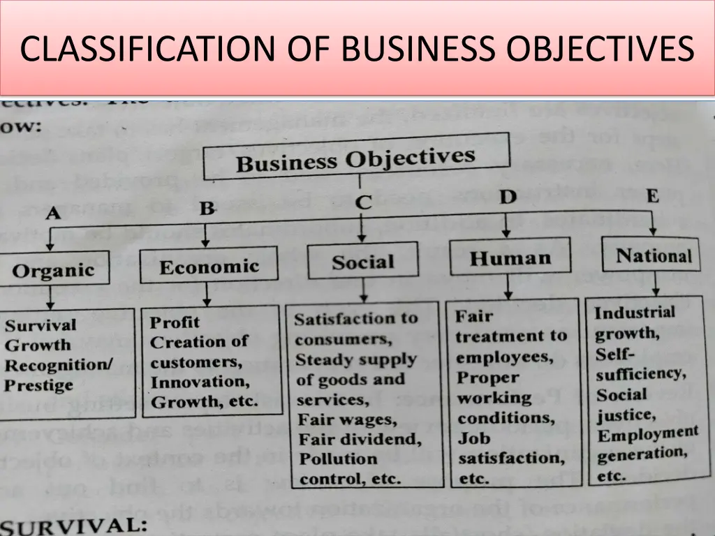 classification of business objectives