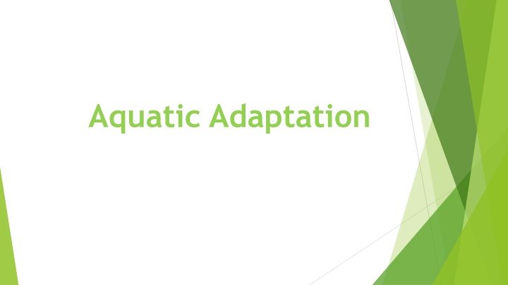 aquatic adaptation