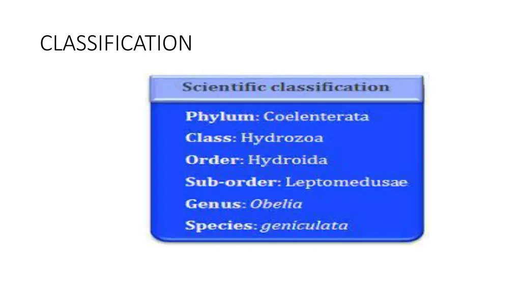 classification