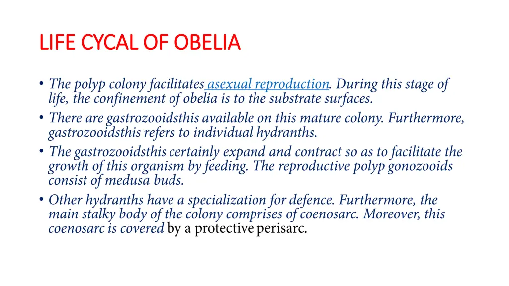 life cycal of obelia life cycal of obelia 1