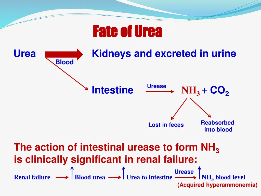 fate of urea fate of urea