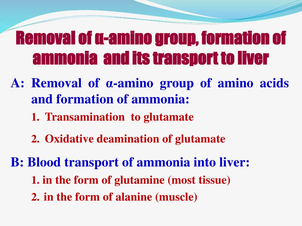 removal of removal of amino group formation