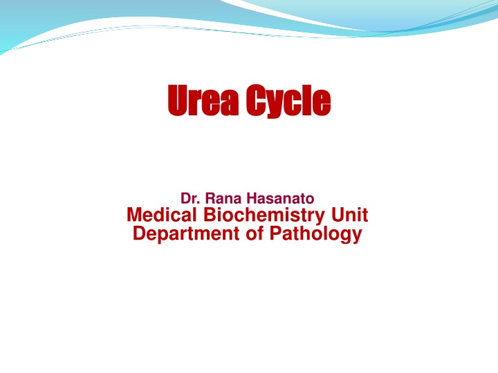 urea cycle urea cycle