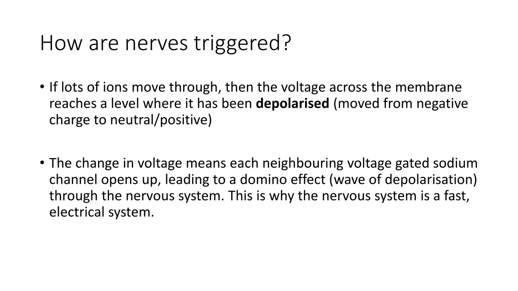 how are nerves triggered 2