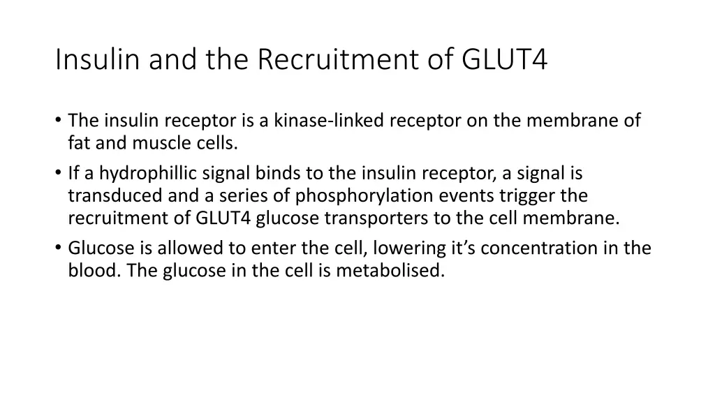 insulin and the recruitment of glut4 1