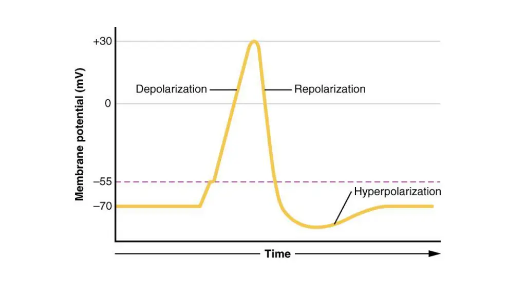 slide25