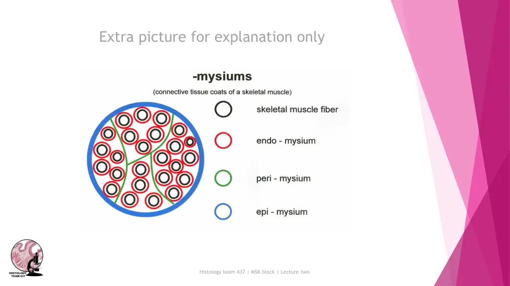 extra picture for explanation only