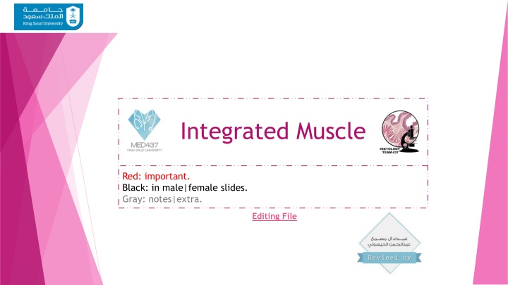 integrated muscle