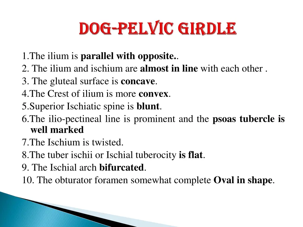 1 the ilium is parallel with opposite 2 the ilium