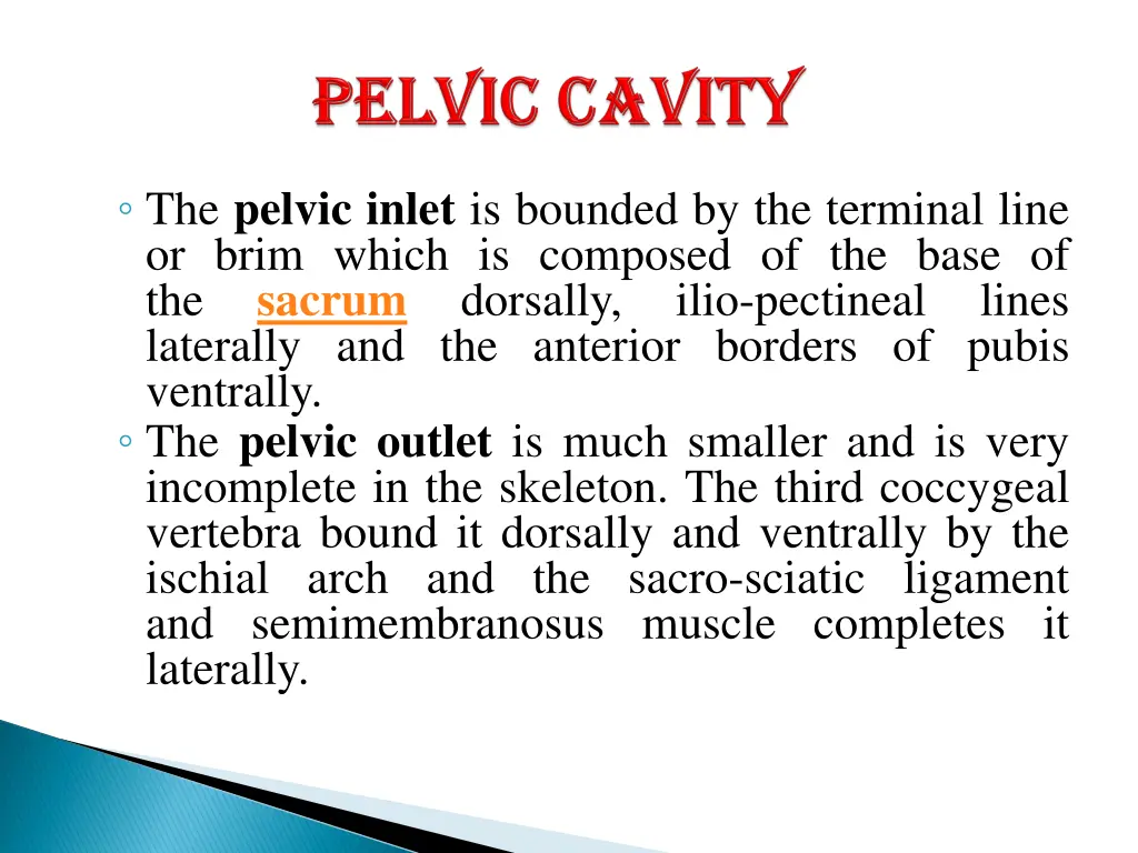 the pelvic inlet is bounded by the terminal line