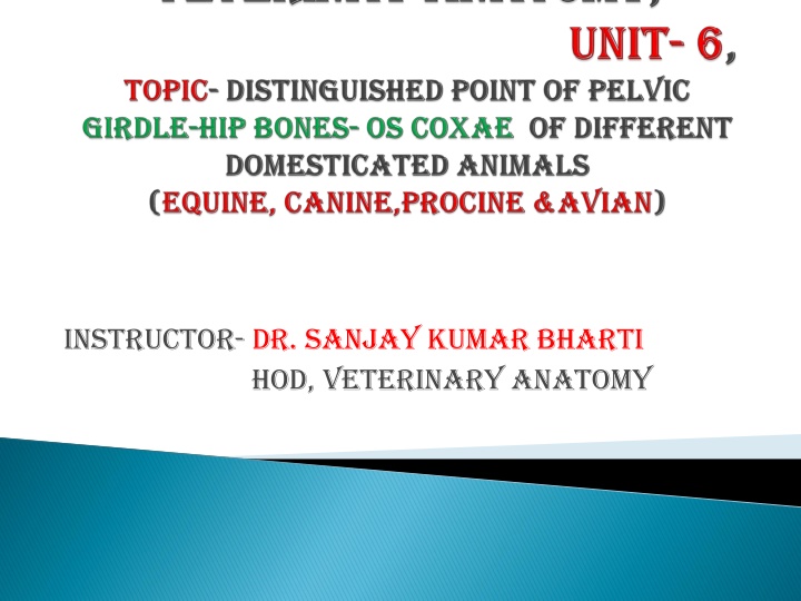 instructor dr sanjay kumar bharti hod veterinary