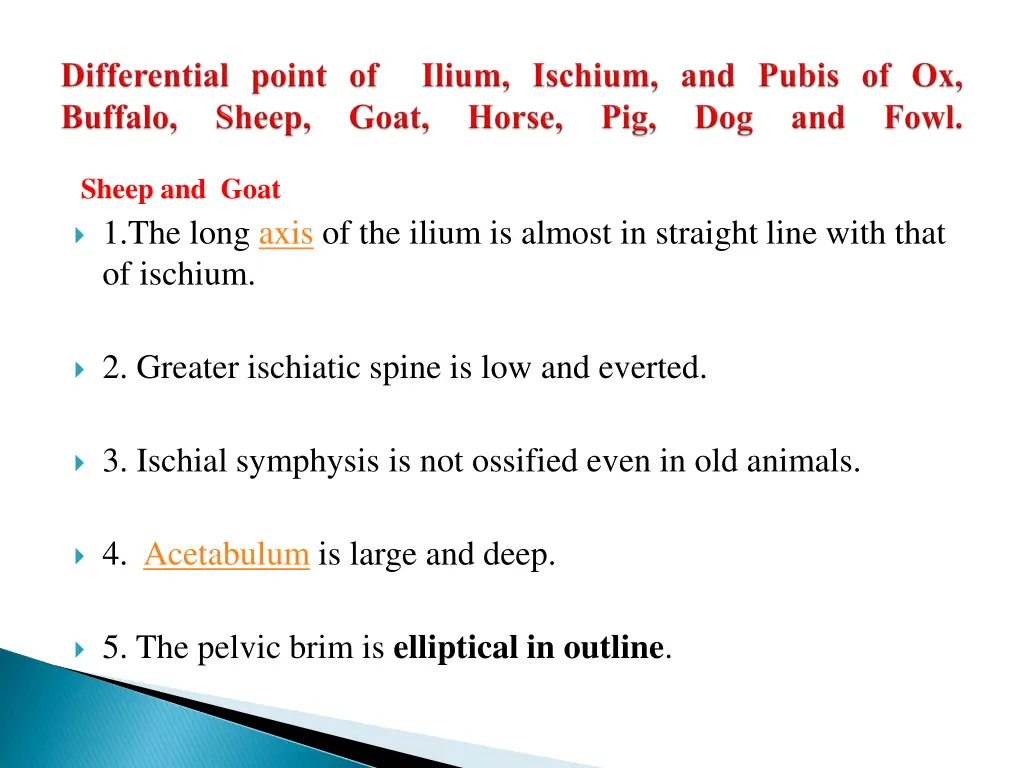 sheep and goat 1 the long axis of the ilium