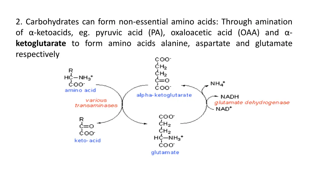 2 carbohydrates can form non essential amino