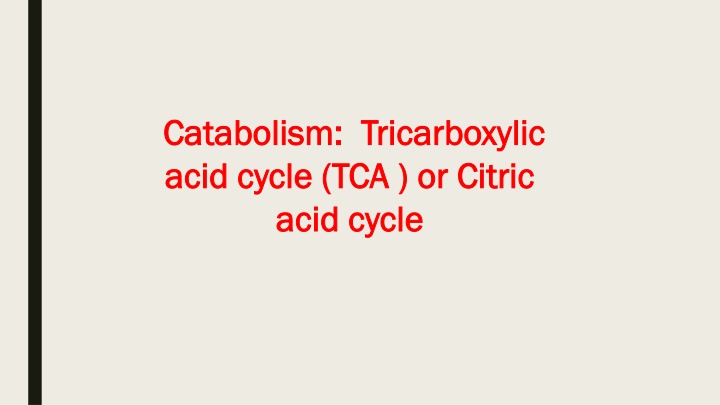 catabolism catabolism tricarboxylic acid cycle