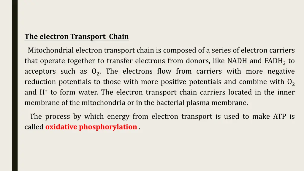 the electron transport chain