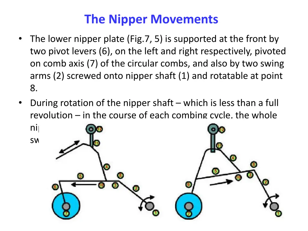 the nipper movements