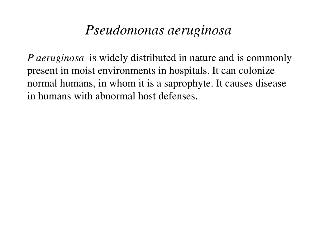 pseudomonas aeruginosa