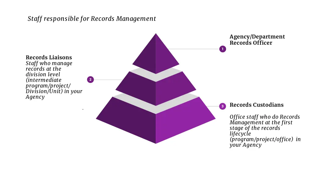 staff responsible for records management