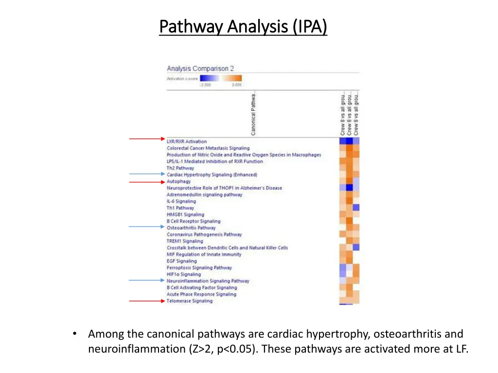 pathway analysis ipa pathway analysis ipa