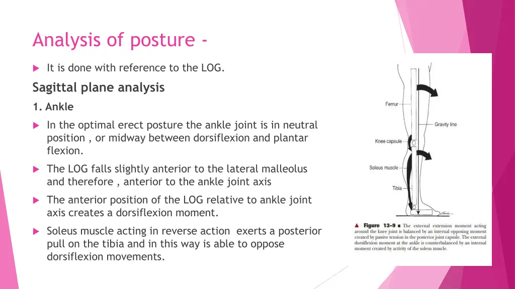 analysis of posture